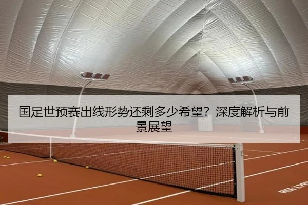 国足世预赛出线形势还剩多少希望？深度解析与前景展望